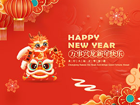 扬州阳光风暴新材料有限公司祝大家新年快乐！