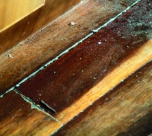 木材无机防霉防菌保护