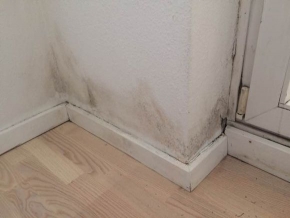 室内墙面涂料防霉保护