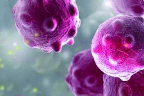 无机纳米防霉防水剂