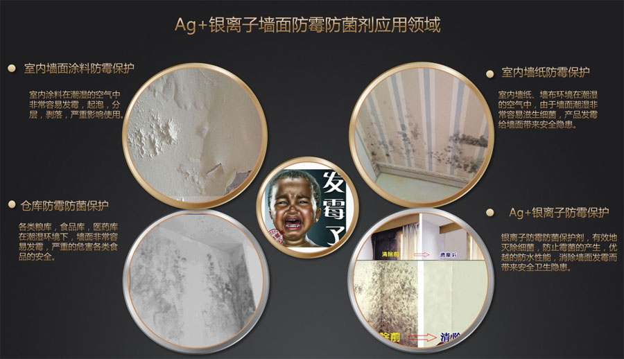 Ag+银离子墙面防霉防菌剂应用领域