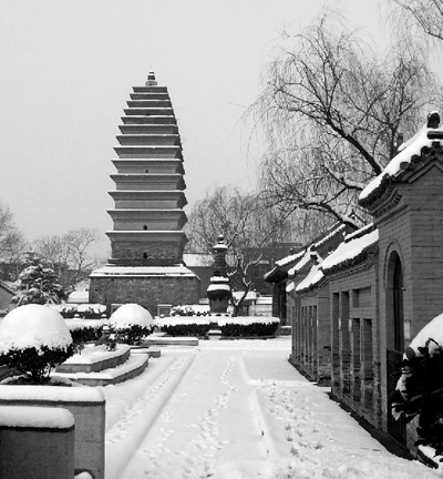 木结构无机阻燃剂生产商