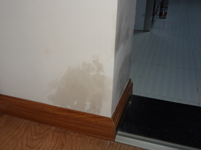 室内墙面涂料防霉保护厂家