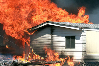 木材阻燃剂生产厂家