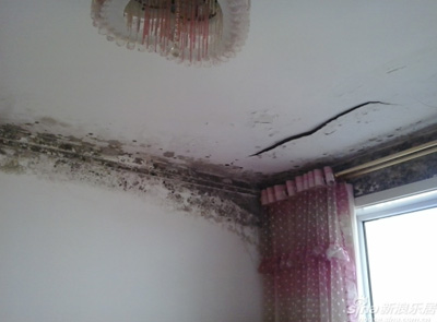 室内墙面涂料防霉保护