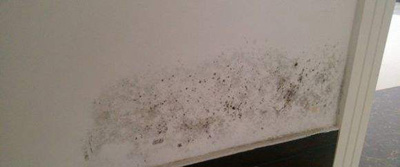 银离子墙体防霉防菌剂