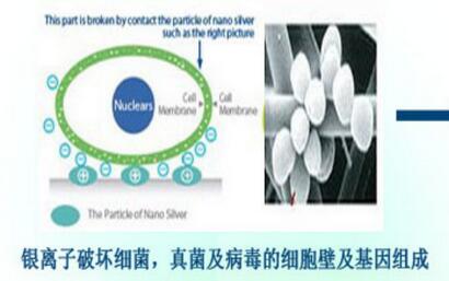 室内墙面涂料防霉保护