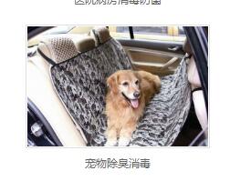 宠物除臭消毒