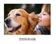 宠物除臭消毒厂家