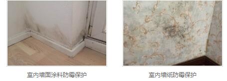 银离子墙体防霉防菌剂