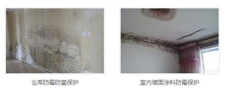 银离子墙体防霉防菌剂生产商