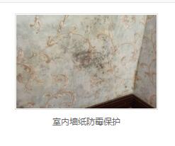 银离子墙体防霉防菌剂价格 银离子墙体防霉防菌剂价格