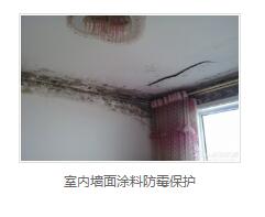 银离子墙体防霉防菌剂生产厂家 银离子墙体防霉防菌剂生产厂家