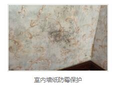 银离子墙体防霉防菌剂价格