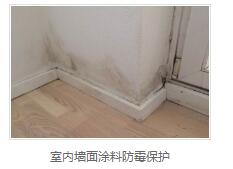 银离子墙体防霉防菌剂生产商