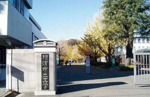 石质改质剂价格