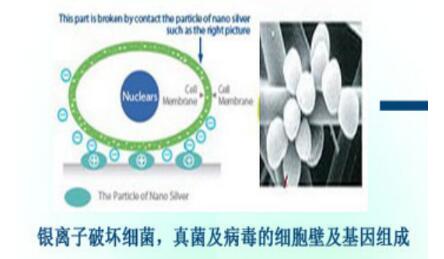 银离子空气除臭剂