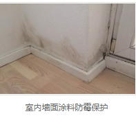 银离子墙体防霉防菌剂用途