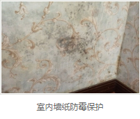 银离子墙体防霉防菌剂价格