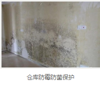 银离子墙体防霉防菌剂厂家