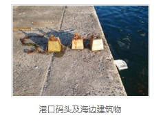 混凝土防水价格