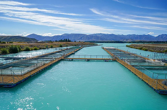 水产养殖纳米银灭菌剂厂家